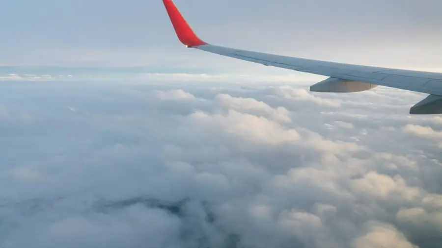 Flights
