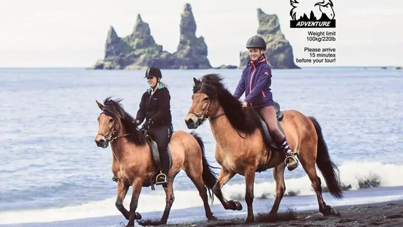 Horse riding on Vík’s black sand beach